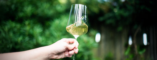 A glass of white wine