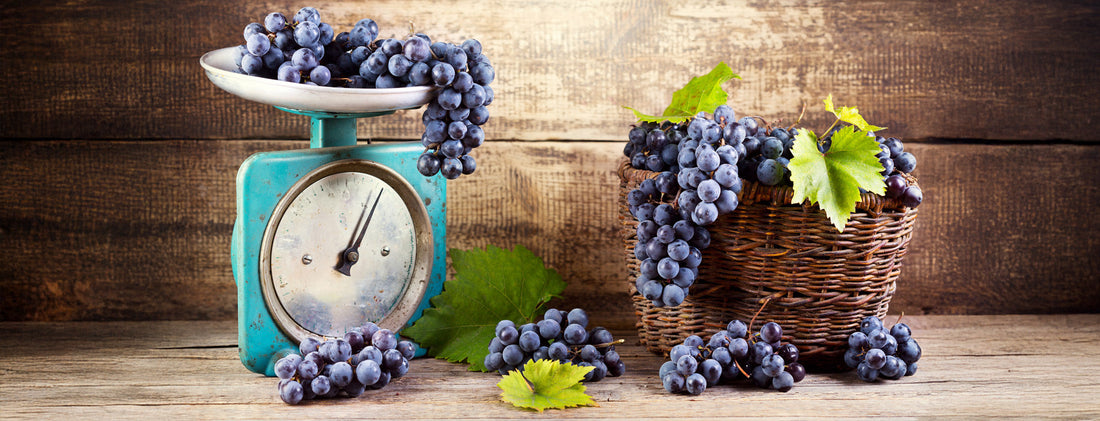 Low and No-Alcohol Wines: Meeting the Growing Demand in the On-Trade